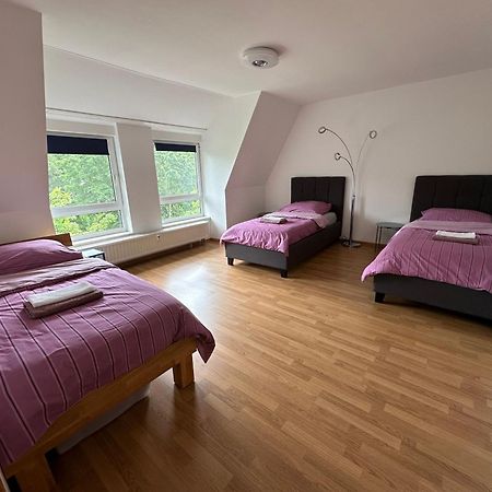 Grosses Apartment Im Dg Leipzig Exteriör bild